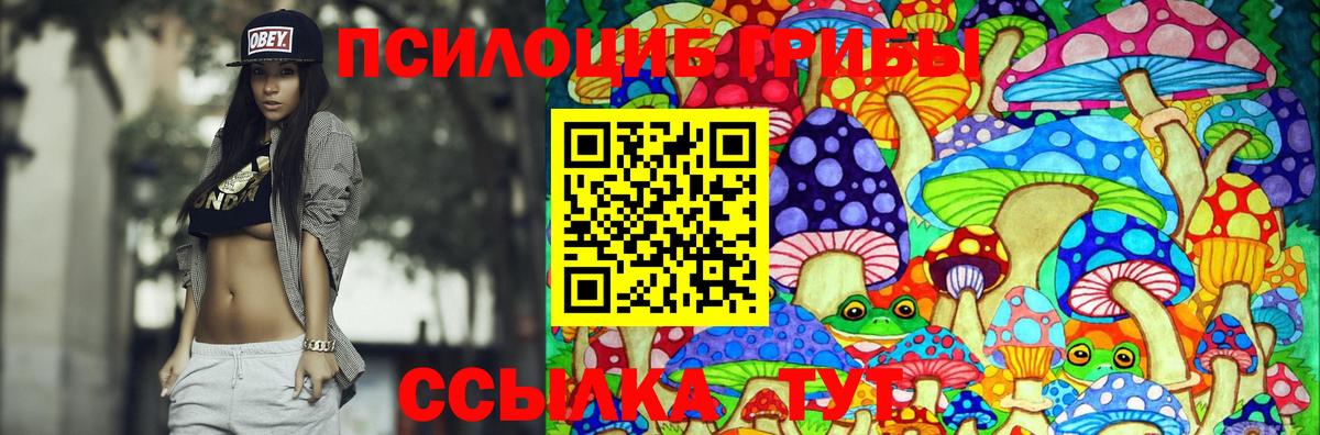 Псилоцибиновые грибы Cubensis Дербент